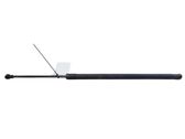 Tailgate/trunk strut/damper