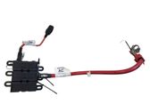 Positive wiring loom