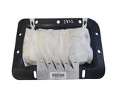 Airbag del pasajero