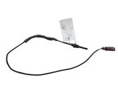 Exhaust gas temperature sensor