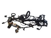 Engine installation wiring loom