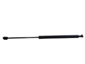 Tailgate/trunk strut/damper