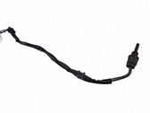 Sensor de temperatura del escape