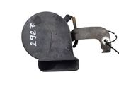 Horn signal