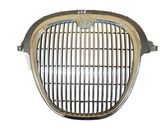 Front bumper upper radiator grill