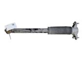 Rear shock absorber/damper