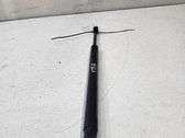 Tailgate/trunk strut/damper
