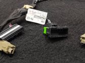 Other wiring loom