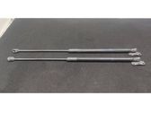 Tailgate/trunk strut/damper