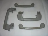 Front interior roof grab handle