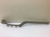 Dashboard trim