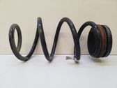 Front coil spring