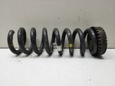 Rear coil spring