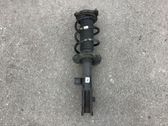 Front shock absorber with coil spring