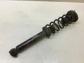 Rear shock absorber with coil spring