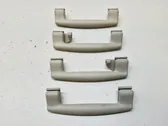 A set of handles for the ceiling