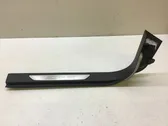 Front sill trim cover