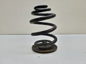 Rear coil spring