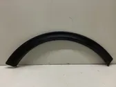 Fender trim (molding)