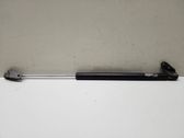 Tailgate/trunk strut/damper
