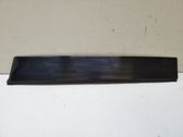 Sliding door trim (molding)