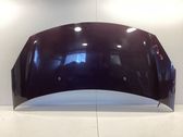 Motorhaube