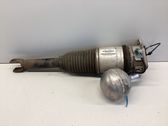 Rear shock absorber/damper