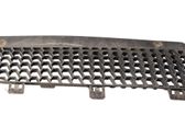 Front grill