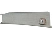 Pilar (B) (superior)