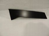 Rear door trim (molding)