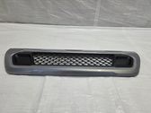 Front bumper lower grill