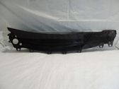 Wiper trim