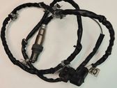 Lambda probe sensor