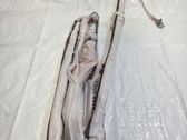 Airbag latéral