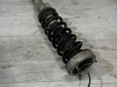 Rear shock absorber with coil spring