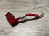 Positive wiring loom