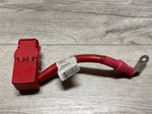 Positive wiring loom