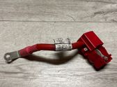 Positive wiring loom