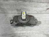 Light module LCM