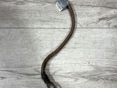Negative earth cable (battery)