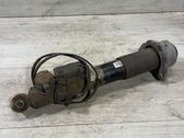 Rear shock absorber/damper