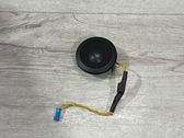 Rear door speaker