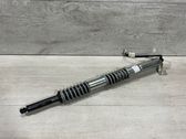 Tailgate/trunk strut/damper
