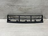 Front bumper lower grill