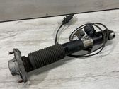 Rear shock absorber/damper