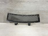 Front bumper lower grill