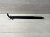 Tailgate/trunk strut/damper