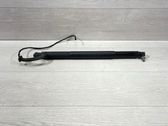 Tailgate/trunk strut/damper
