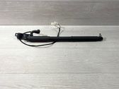 Tailgate/trunk strut/damper