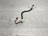 Sound system wiring loom